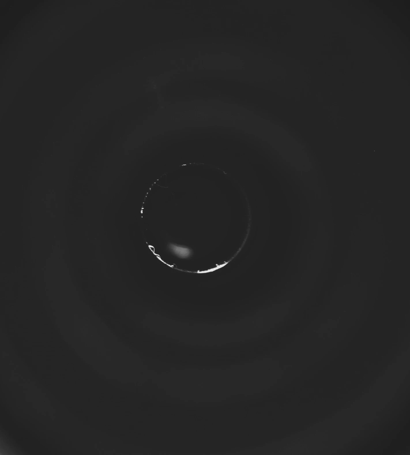 Lignes de fuite 1